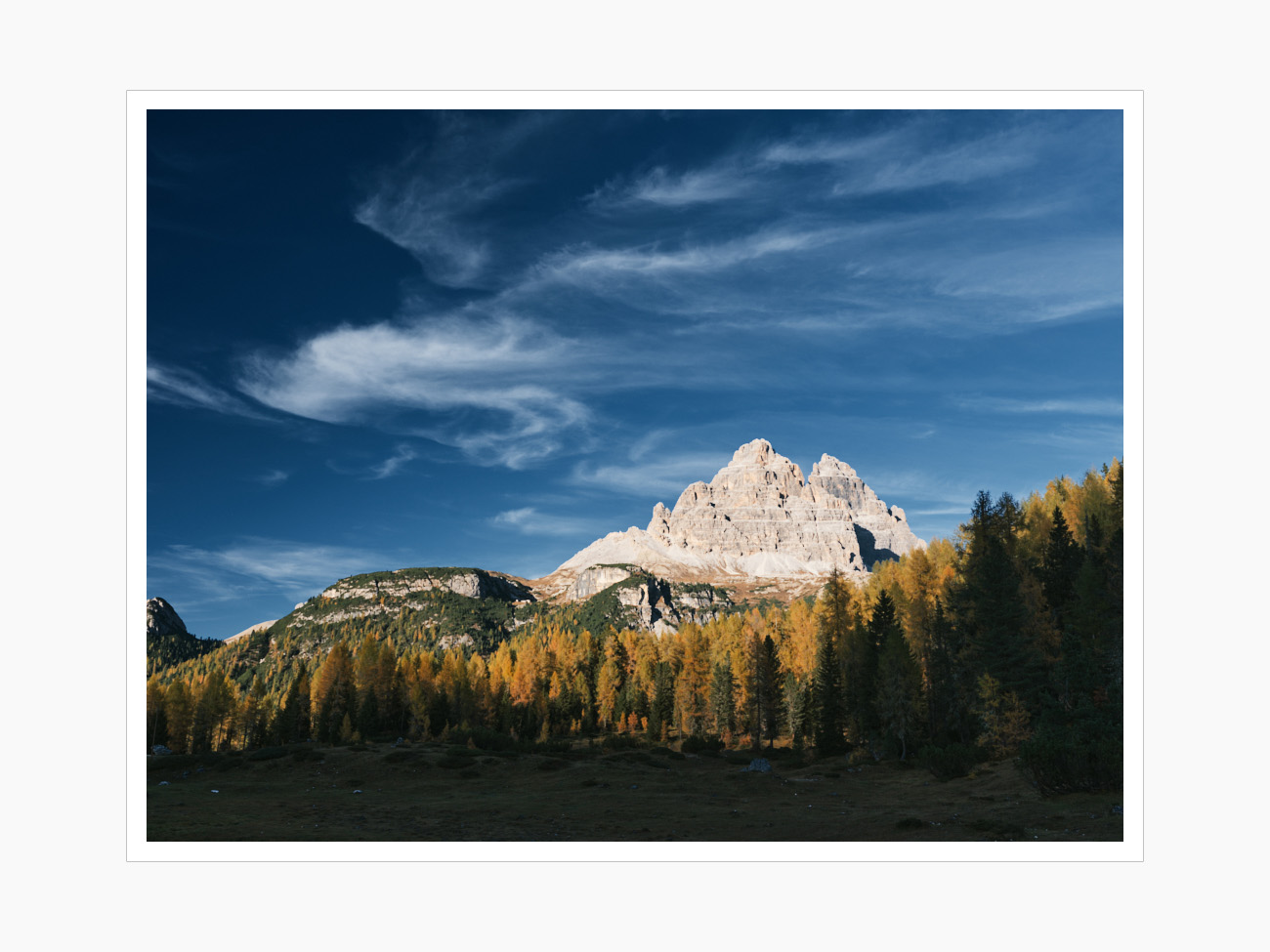 Max Schiefele Selects  DSF1539 1